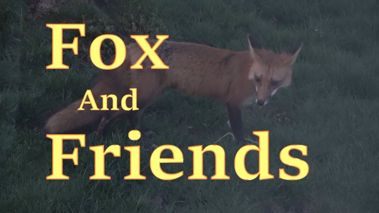 FoxFriendsTitle.JPG