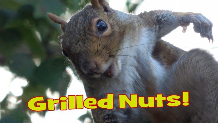 GrilledNuts1.JPG