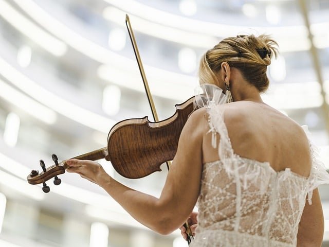 violin-8405558_640.jpg