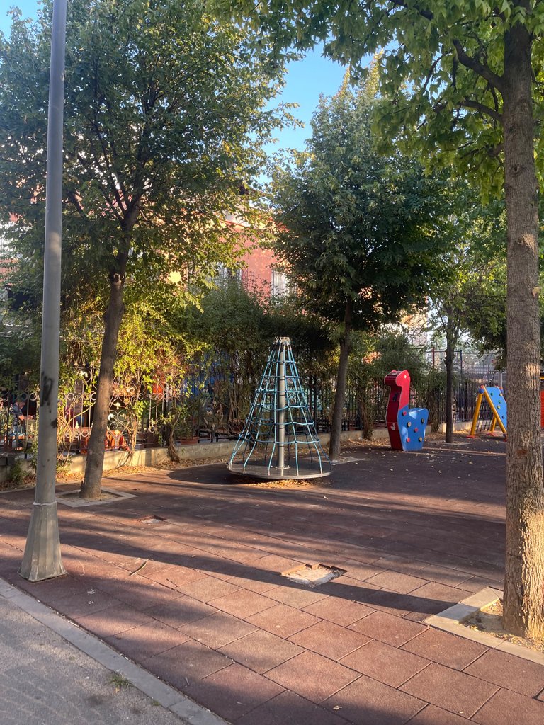 IMG_0594.jpeg