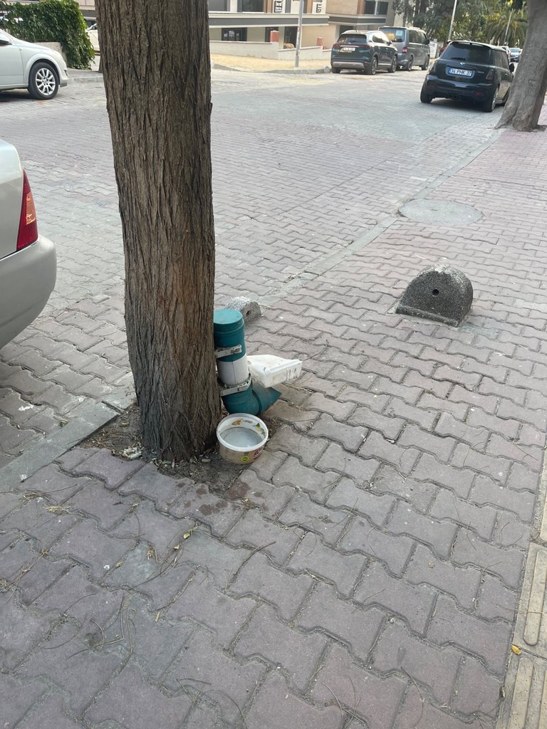 IMG_0811.jpeg