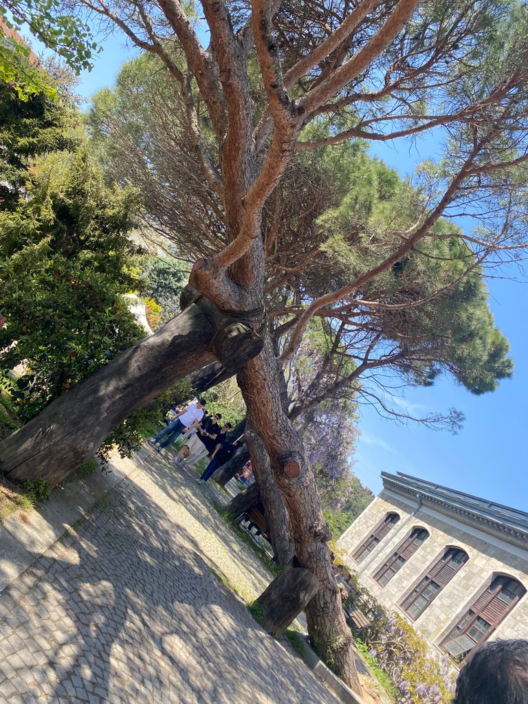 IMG_5040.jpeg