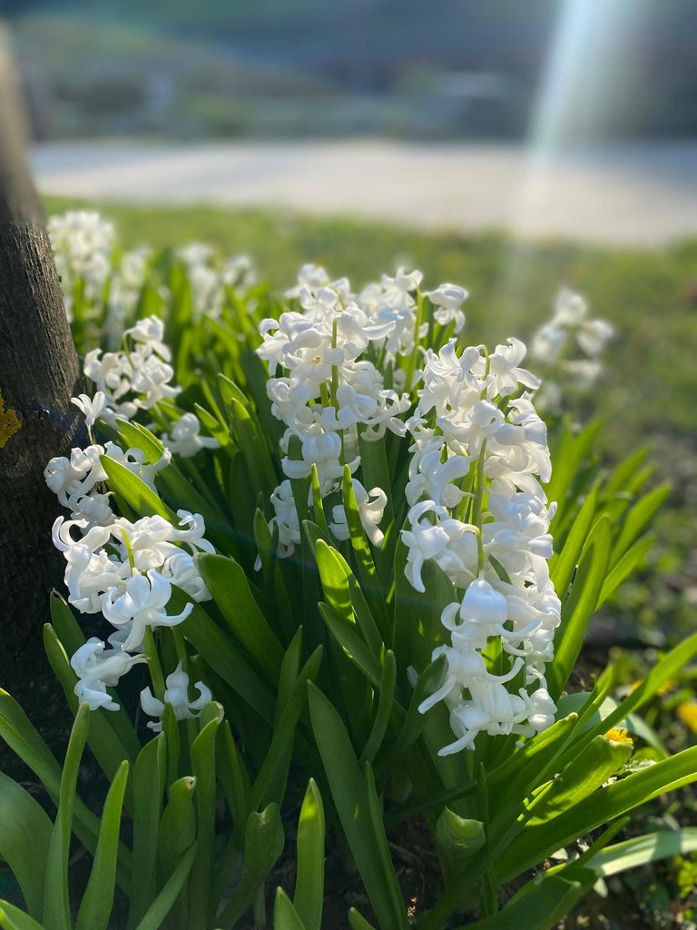 9b0f17d0-86f3-497d-84b6-c44775840d31.jpeg