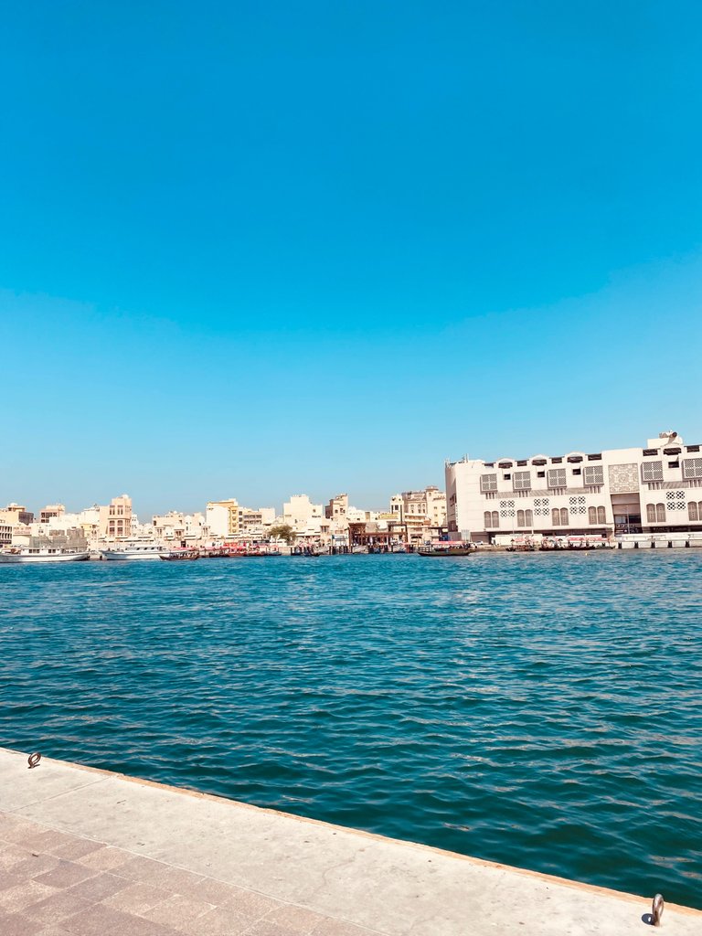 IMG_2798.jpeg