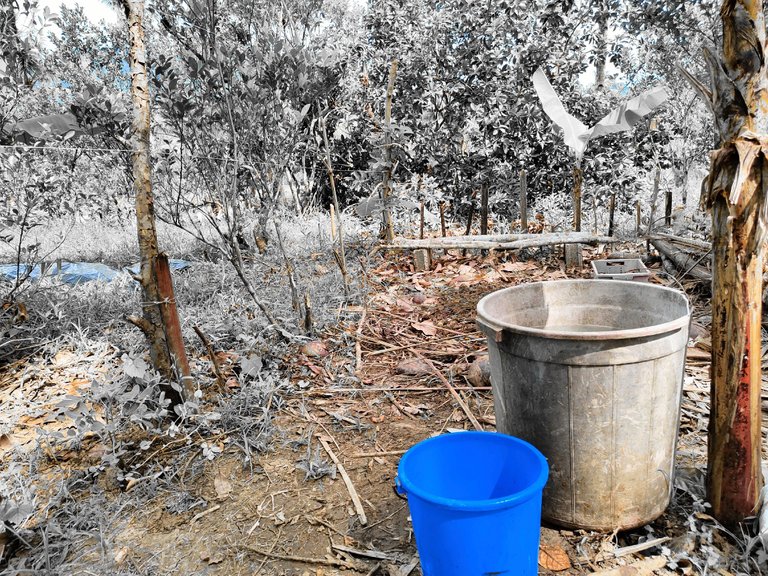 Usual routine of water collection during the dry season