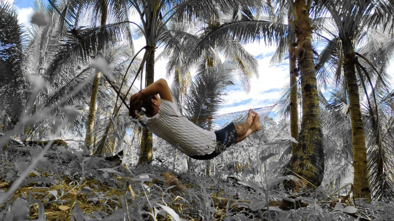 Resting on a hammock at the farm