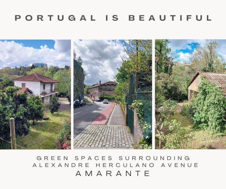 green spaces surrounding Avenida Alexandre Herculano.jpg