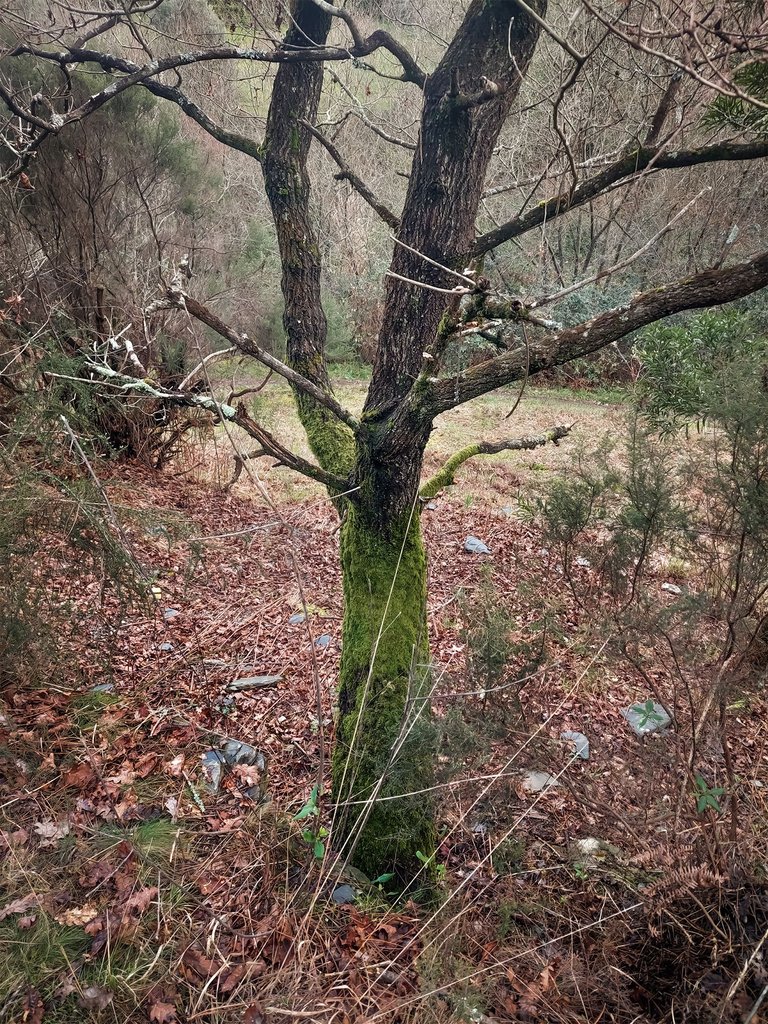 20250222_121519.jpg