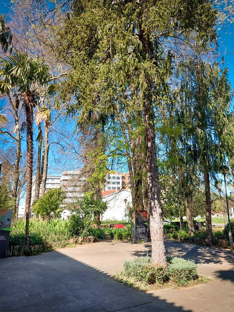 20250330_151344.jpg