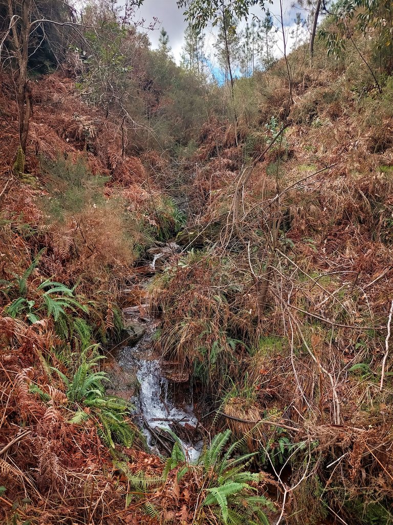 20250222_120412.jpg
