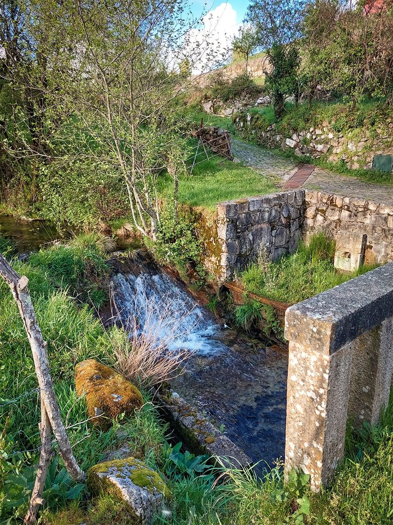 20250416_183731.jpg