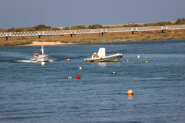 IMG_1749.jpg