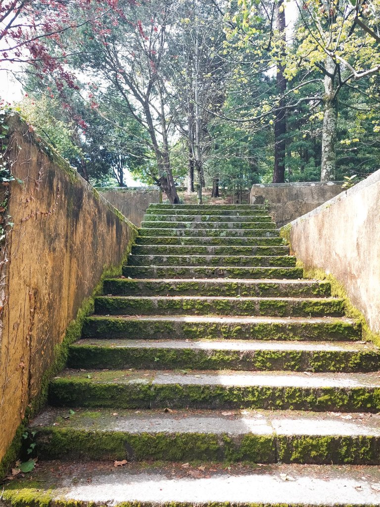 20250418_150827.jpg