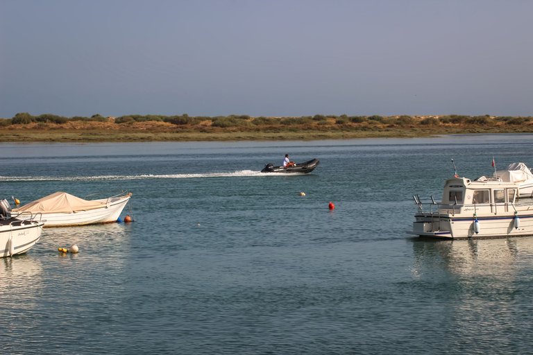 IMG_1747.jpg