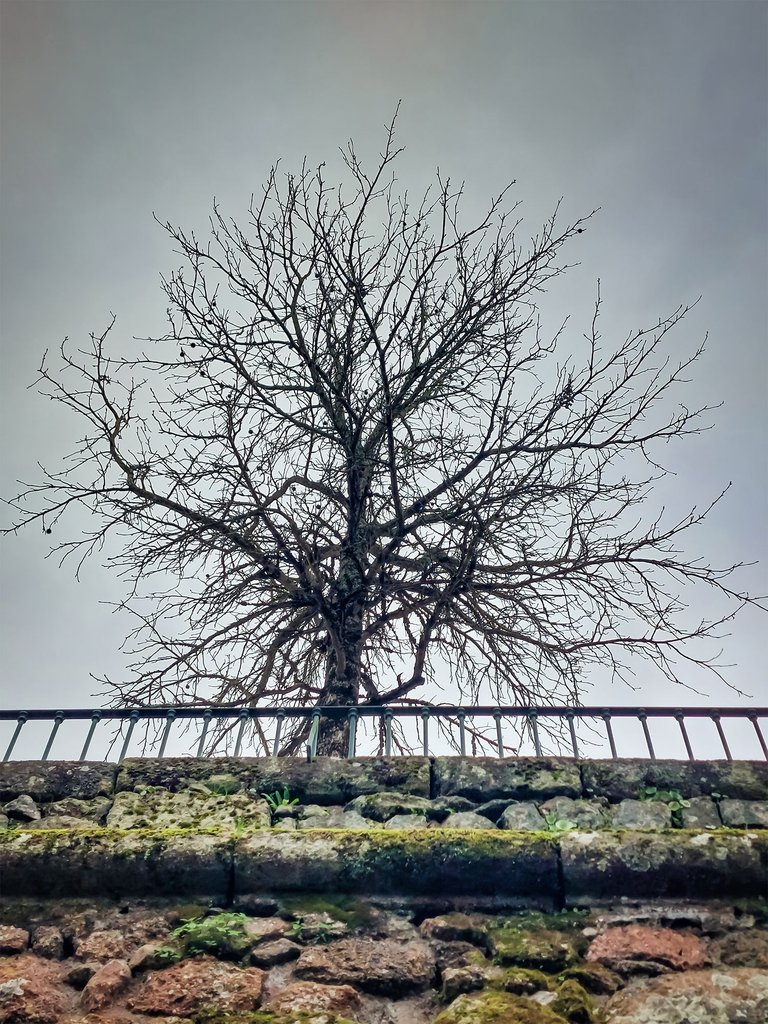 2025088201_145718.jpg