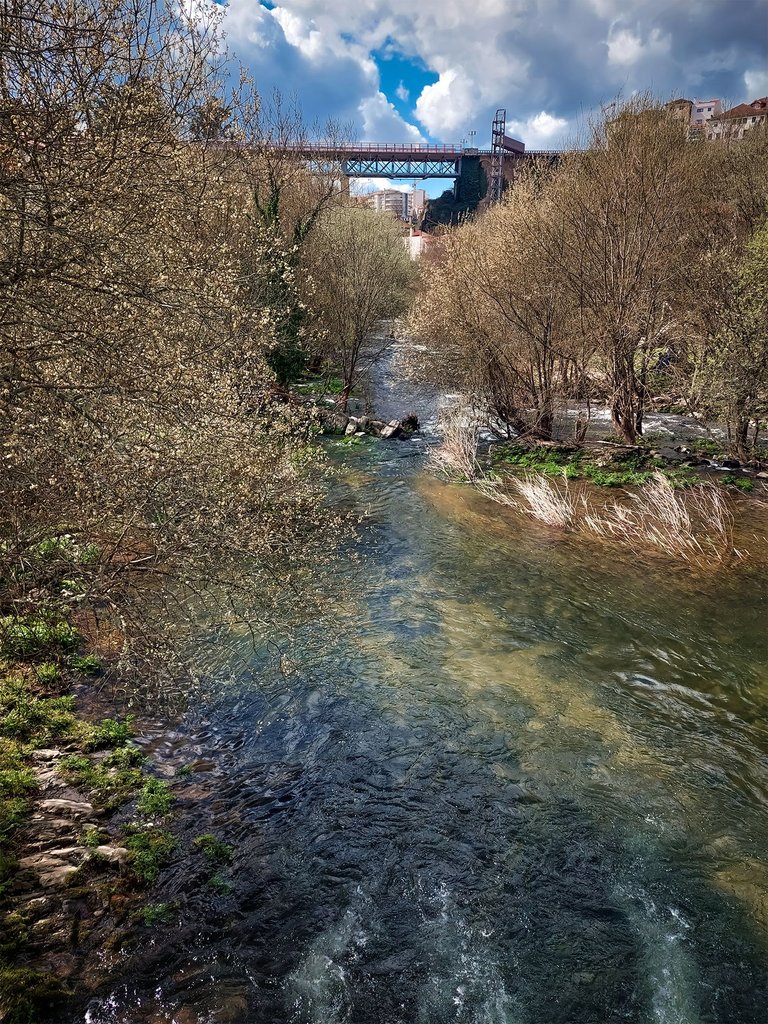 20250315_123241.jpg