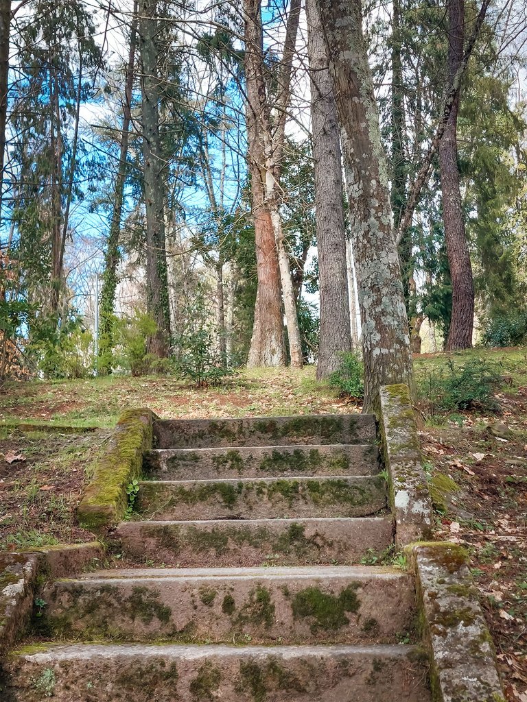 20250315_123740.jpg