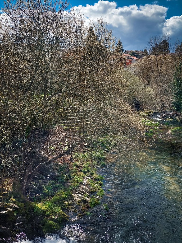 20250315_123421.jpg