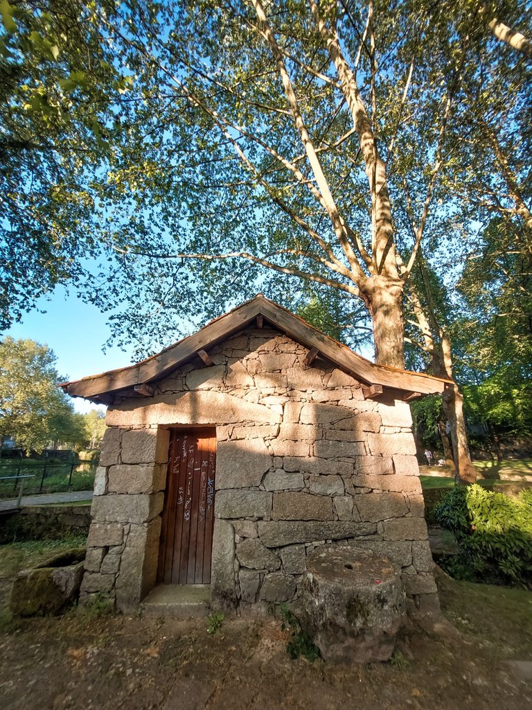 20250426_190146.jpg