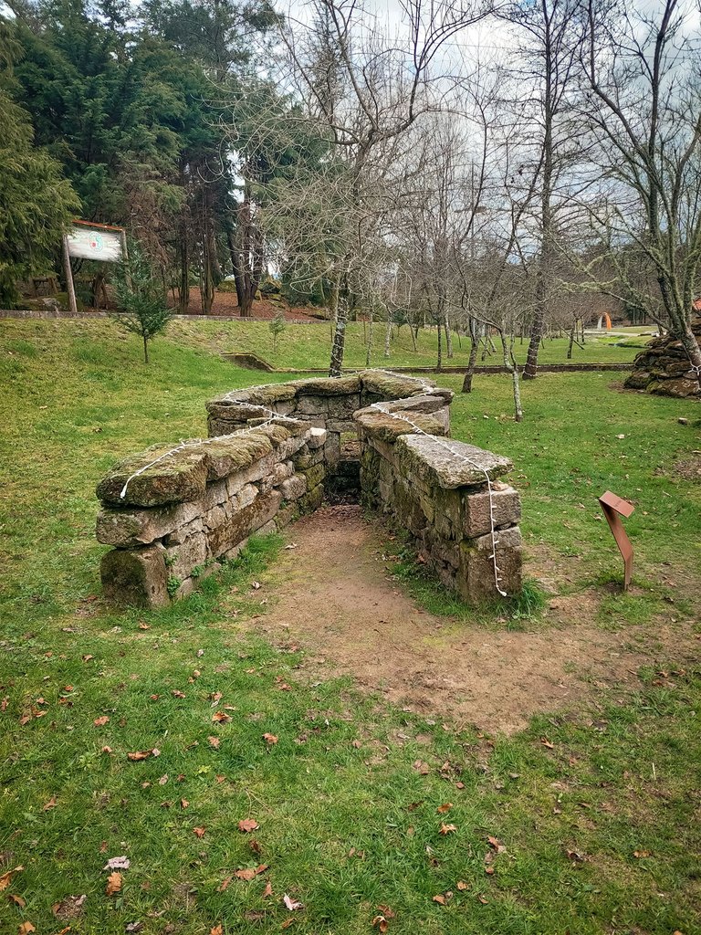 20250302_151628.jpg