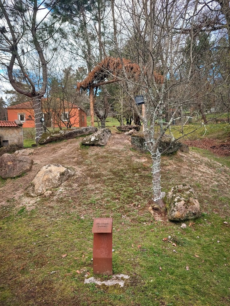 20250302_151611.jpg