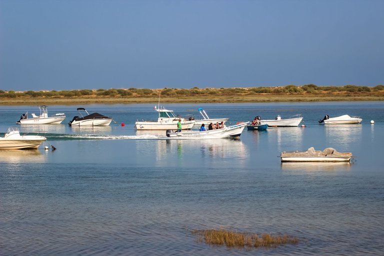 IMG_1735.jpg