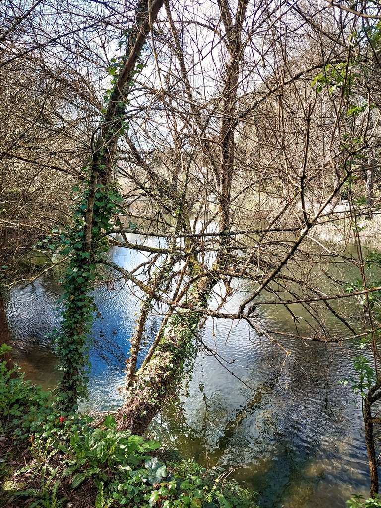 20250315_123015.jpg