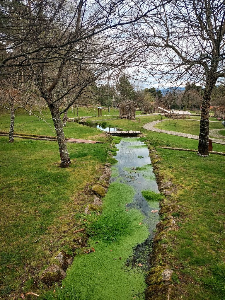 20250302_151731.jpg