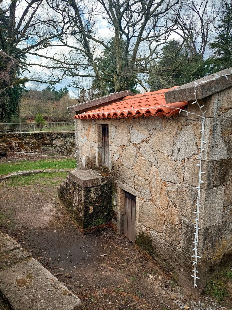 20250302_151449.jpg