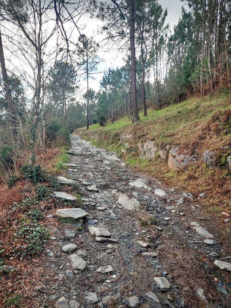 20250222_121617.jpg