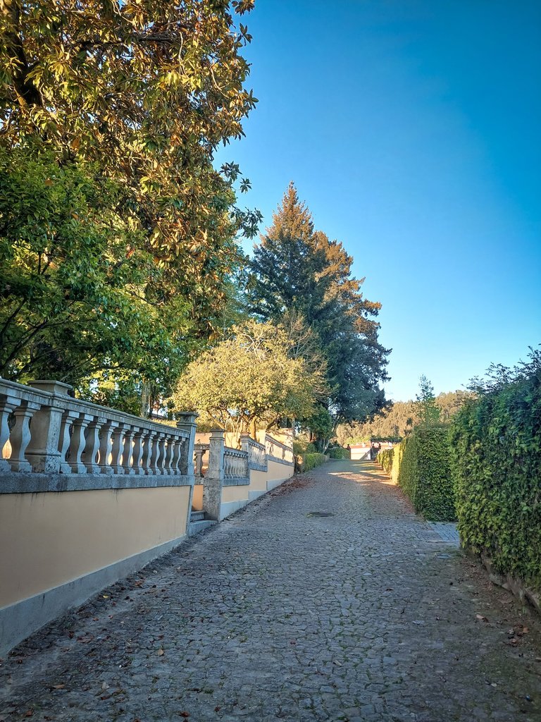 20250426_192526.jpg