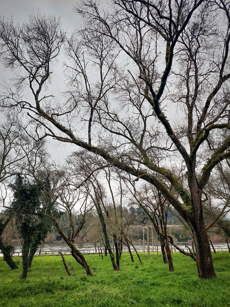 20250201_151237.jpg
