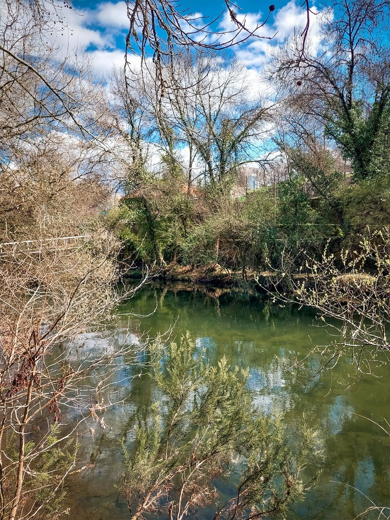 202540315_122336.jpg