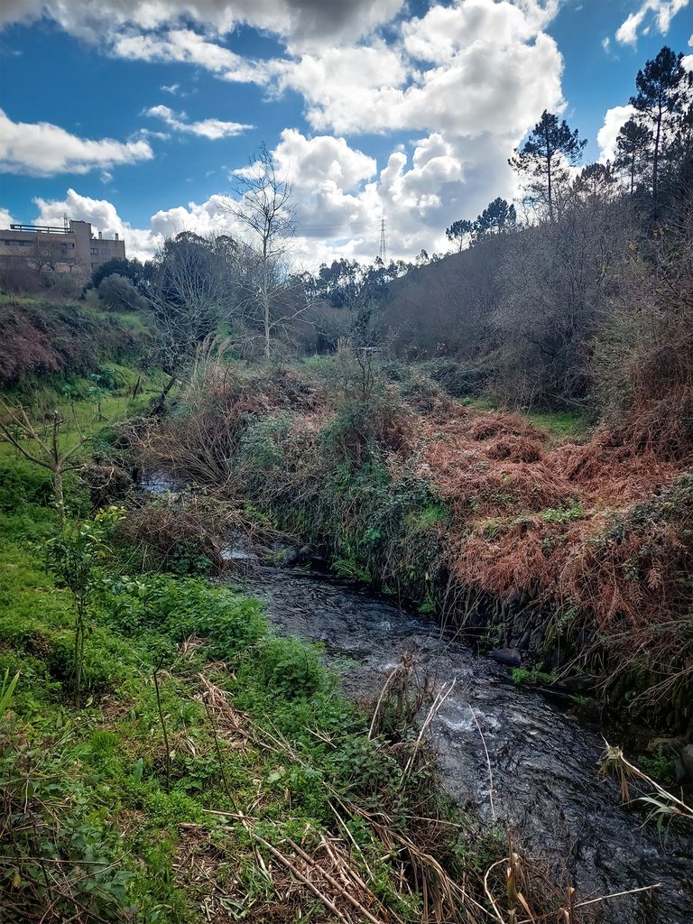 20250222_121910.jpg
