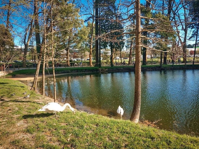 20250329_163528.jpg
