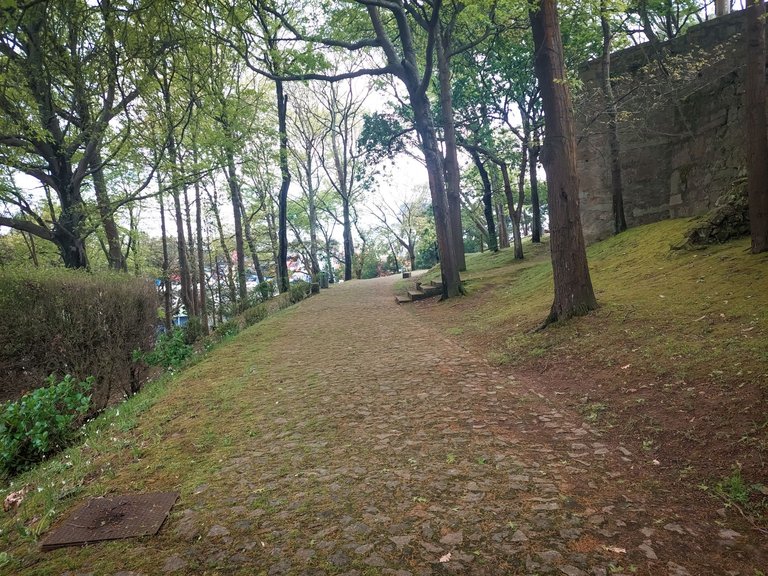 20250418_152616.jpg