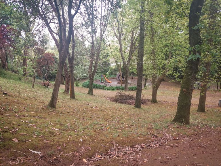 20250418_153626.jpg