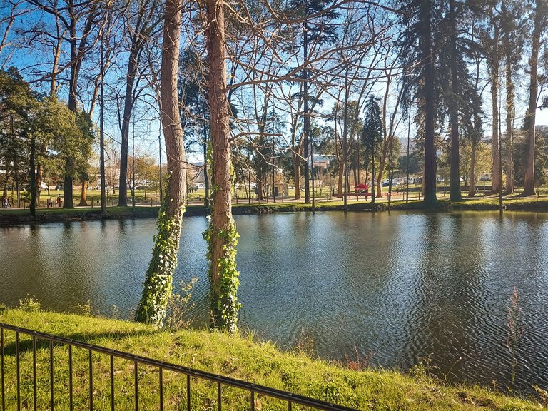 20250329_163450.jpg