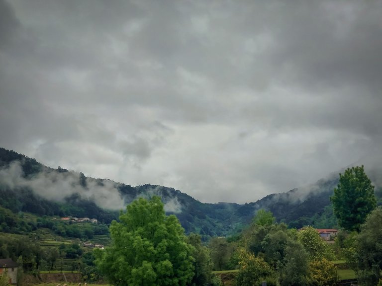 20250421_113445.jpg