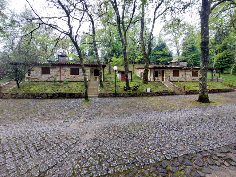 20250420_152924.jpg