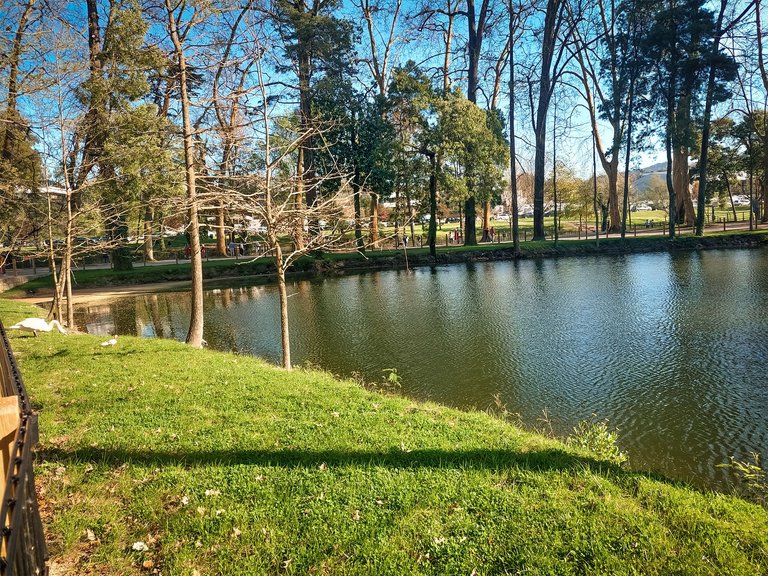 20250329_163501.jpg