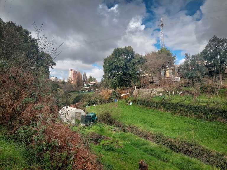 20250222_114921.jpg