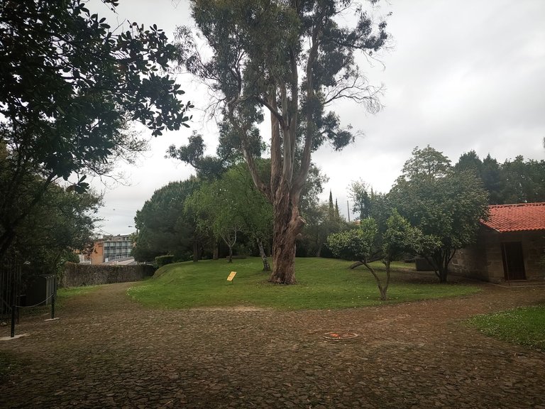 20250418_153502.jpg