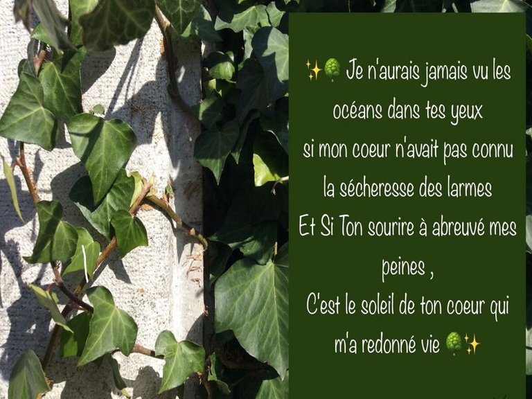 Artistic poetry for the flame 🤍 eng/fr