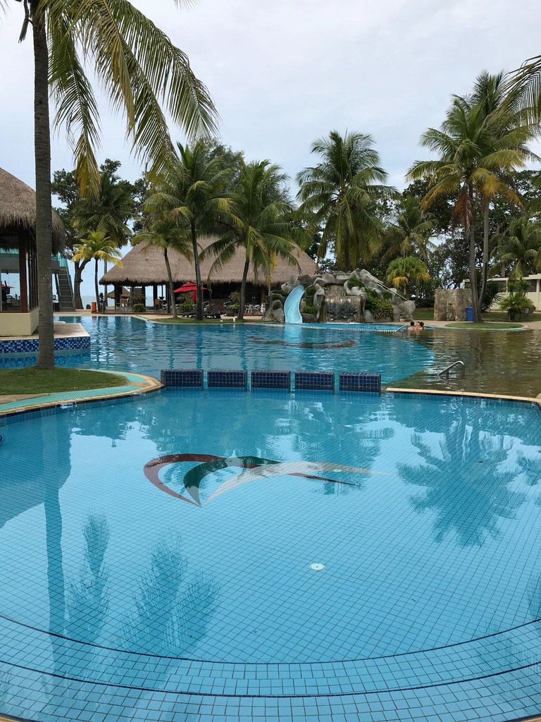 IMG_4977.jpeg