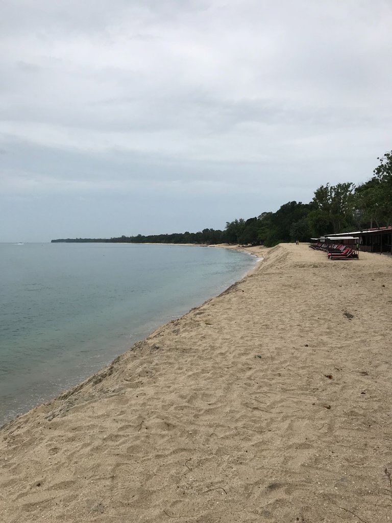 IMG_5024.jpeg