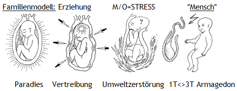 Vater-Mutter 1. Sohn - 1. Tochter 2S-2T 3S-3T in obiger Analogie zum Geburtsprozess