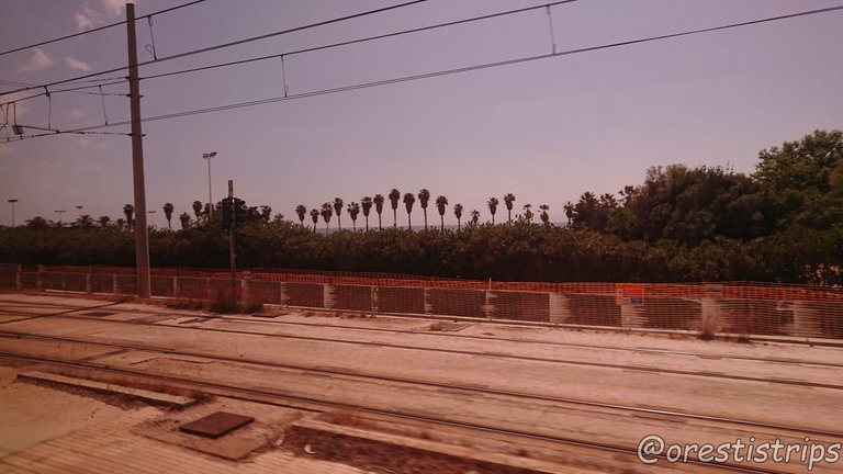 DSC_0042.JPG
