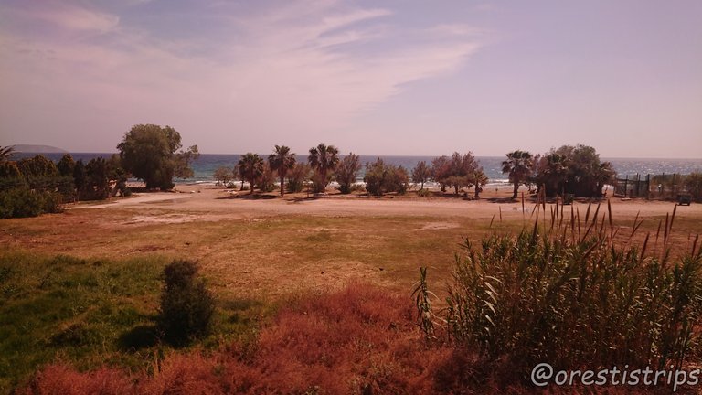 DSC_0085.JPG