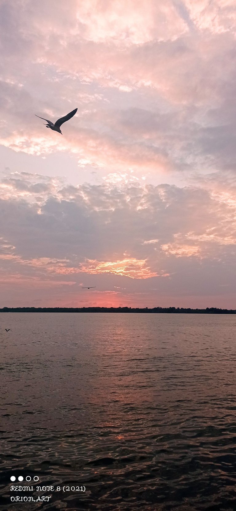 IMG_20230205_180349.jpg